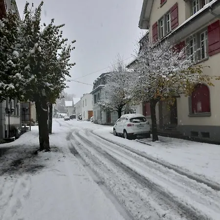 Rothorn Apartament Meiringen