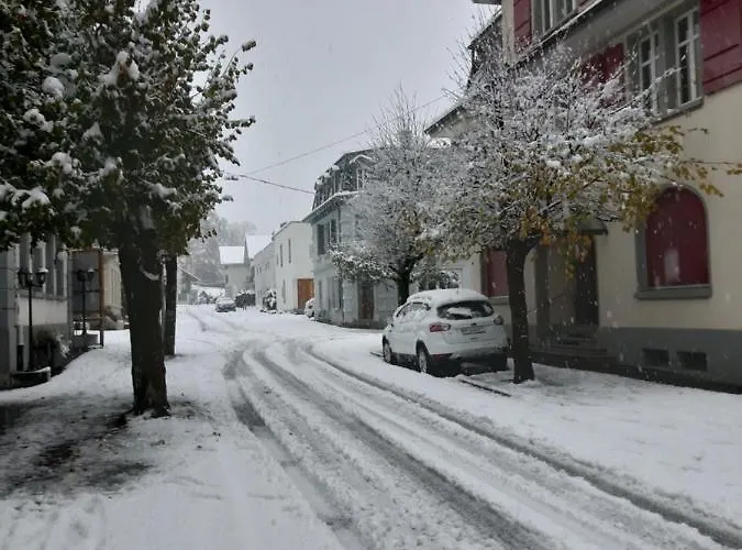 Rothorn Lejlighed Meiringen